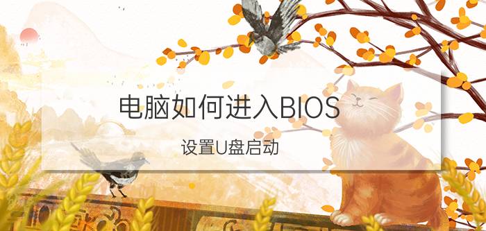 电脑如何进入BIOS 设置U盘启动